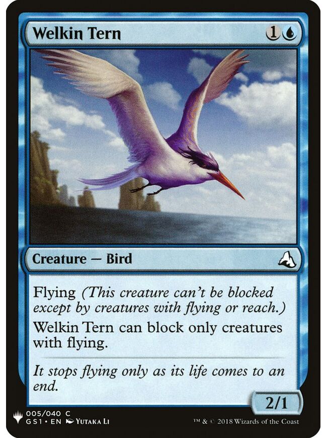 Welkin Tern