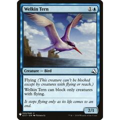 Welkin Tern