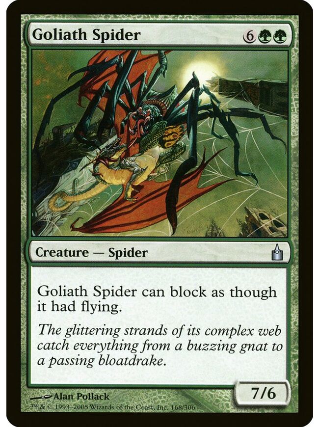 Goliath Spider