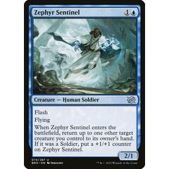 Zephyr Sentinel