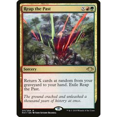 Reap the Past