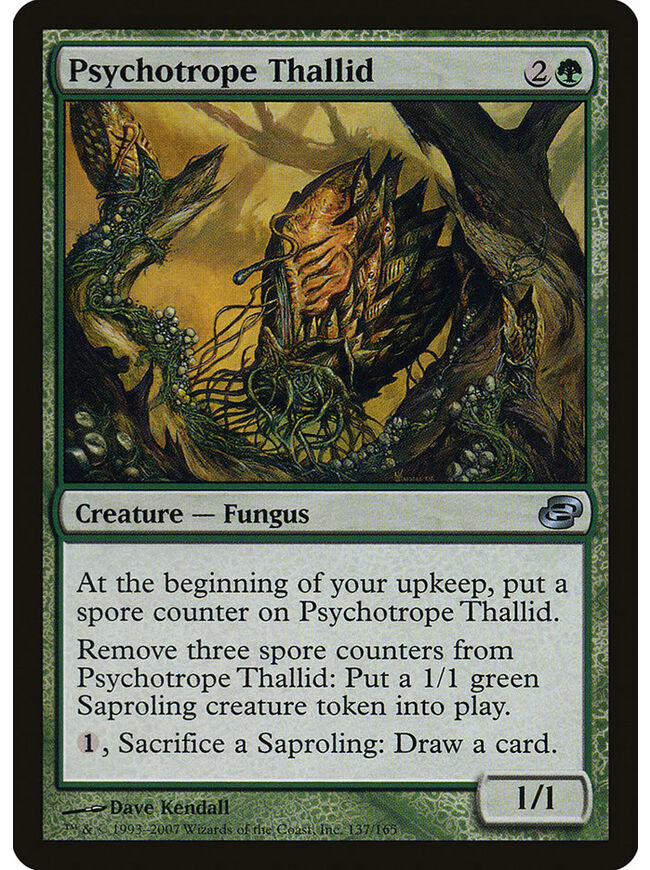 Psychotrope Thallid