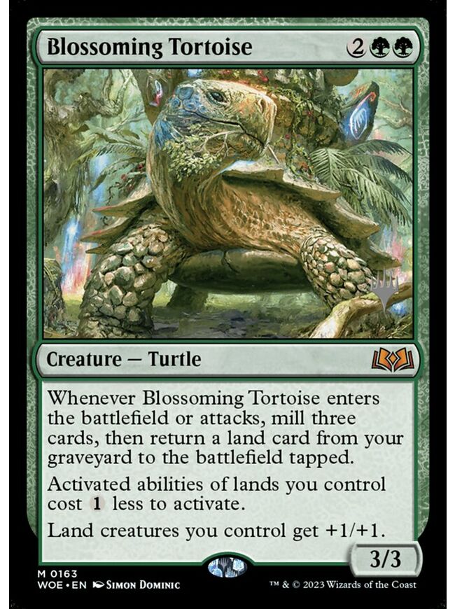 Blossoming Tortoise