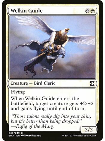 Welkin Guide