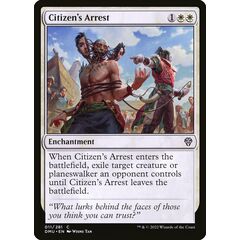 Citizen's Arrest