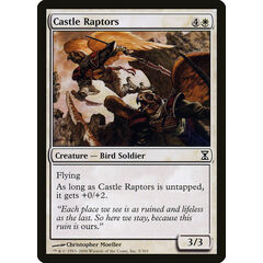 Castle Raptors