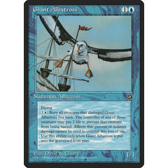 Giant Albatross