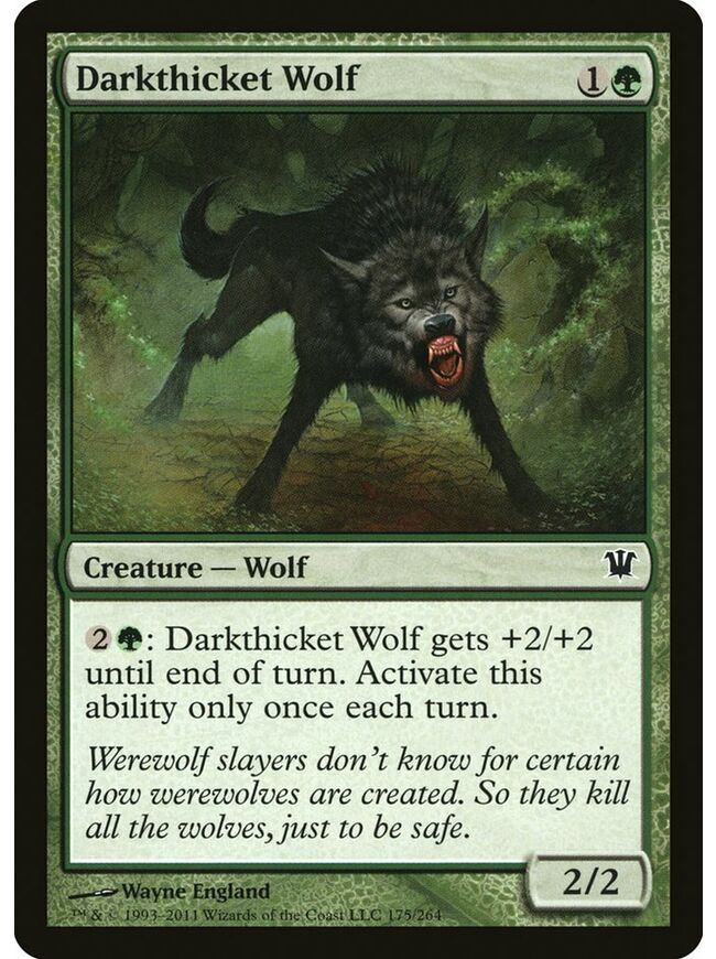 Darkthicket Wolf