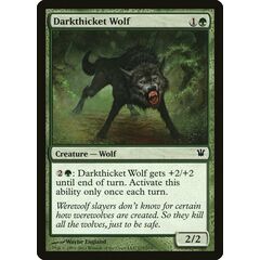 Darkthicket Wolf