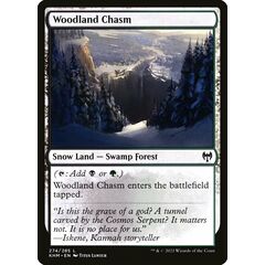 Woodland Chasm