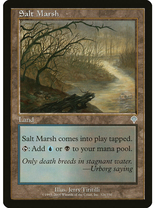 Salt Marsh