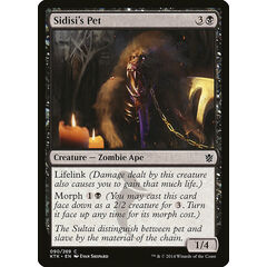 Sidisi's Pet