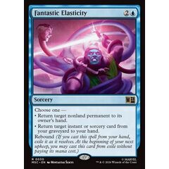 Fantastic Elasticity