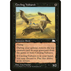 Circling Vultures