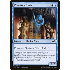 Phantom Ninja