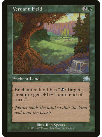 Verdant Field