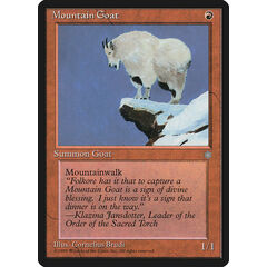 Mountain Goat