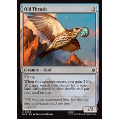 Old Thrush