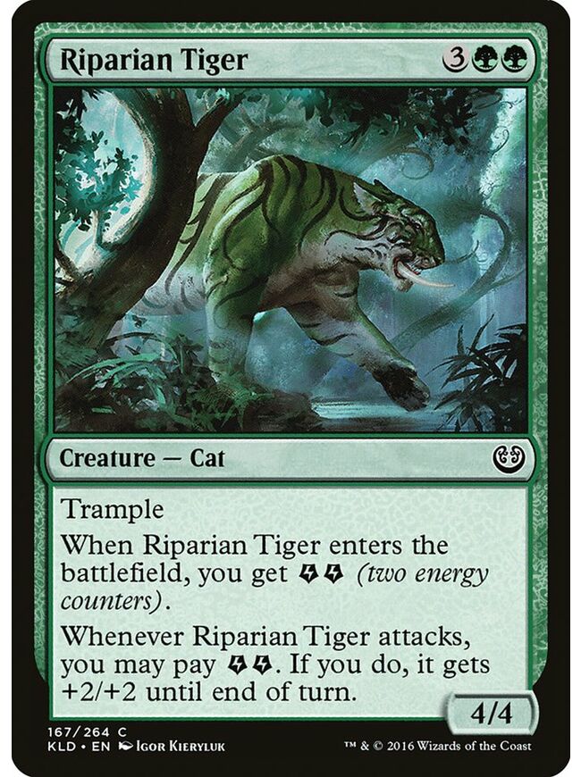 Riparian Tiger