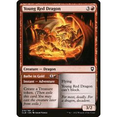 Young Red Dragon // Bathe in Gold