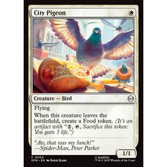 City Pigeon