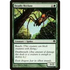 Deadly Recluse