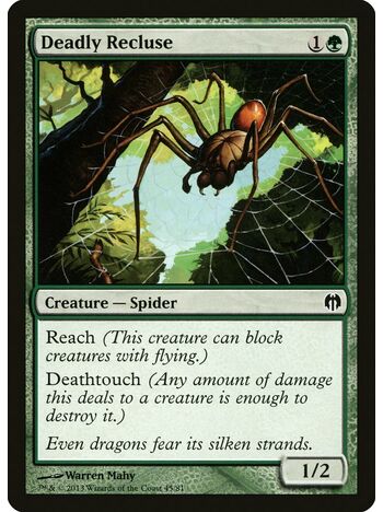 Deadly Recluse