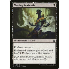 Molting Snakeskin