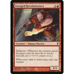 Enraged Revolutionary