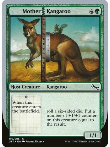 Mother Kangaroo