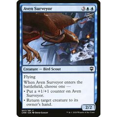 Aven Surveyor
