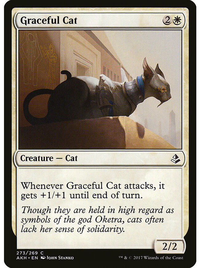 Graceful Cat
