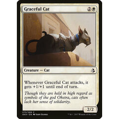 Graceful Cat