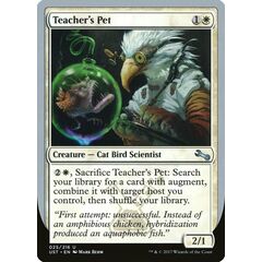 Teacher's Pet