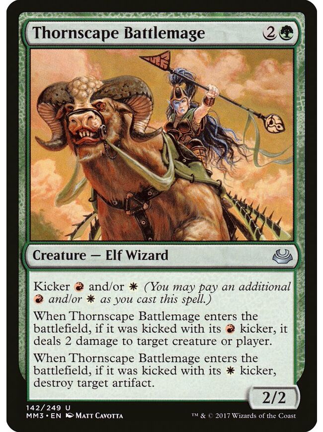 Thornscape Battlemage