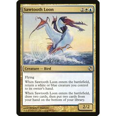 Sawtooth Loon