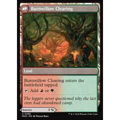 Stump Stomp // Burnwillow Clearing