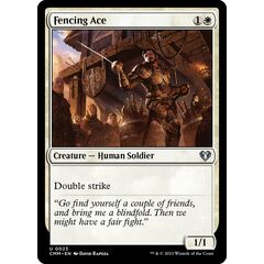 Fencing Ace