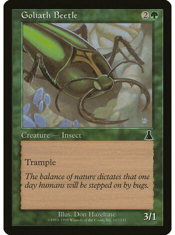 Goliath Beetle