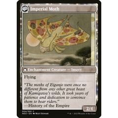 Befriending the Moths // Imperial Moth