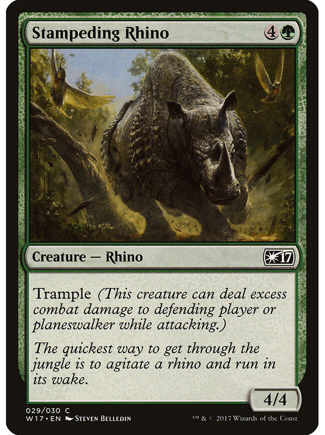 Stampeding Rhino