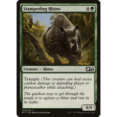 Stampeding Rhino
