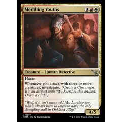 Meddling Youths