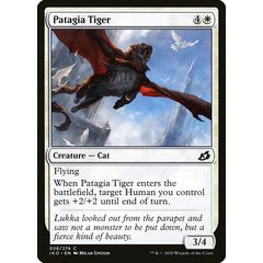 Patagia Tiger