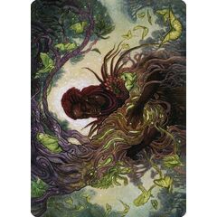 Circle of Dreams Druid // Circle of Dreams Druid (Art Series)