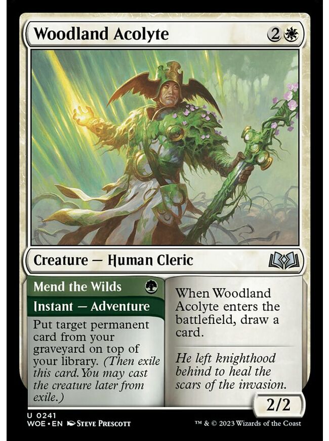 Woodland Acolyte // Mend the Wilds
