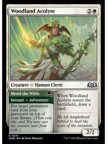 Woodland Acolyte // Mend the Wilds