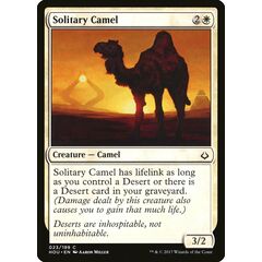 Solitary Camel