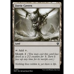 Zoetic Cavern