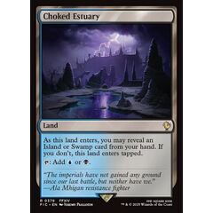 Choked Estuary